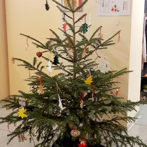 Weihnachtsbaum_2